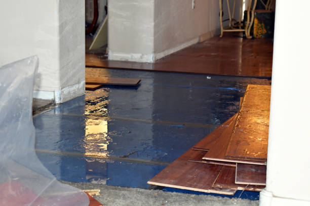 Professional Flood Cleanup technician working in Washburn, ND